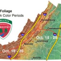 10-2 peak color