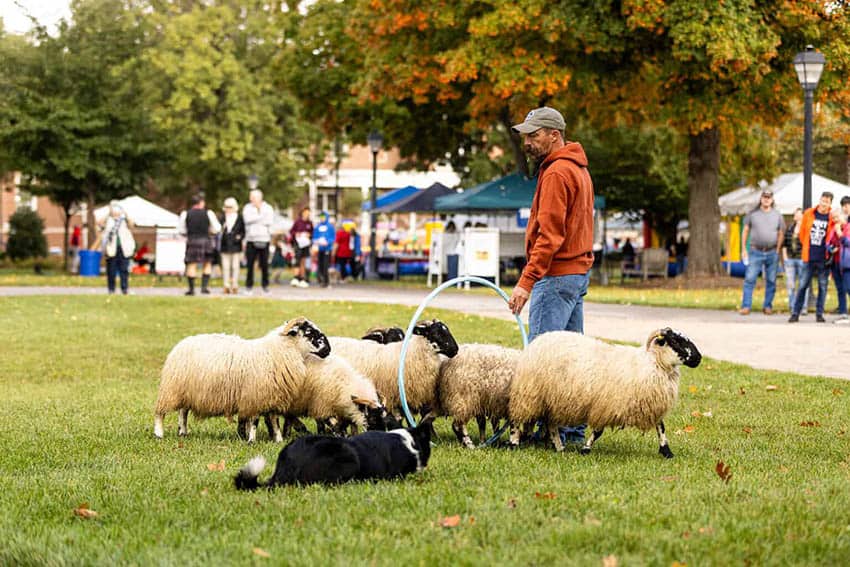 Radford Highlanders Festival brings Highland Games, music and Celtic traditions to campus Oct. 10 12 Highlander Festival 2
